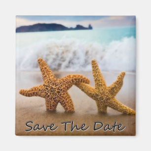 Las estrellas de mar ahorran el imán de la fecha