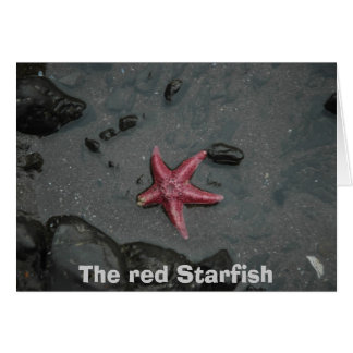 Las estrellas de mar rojas