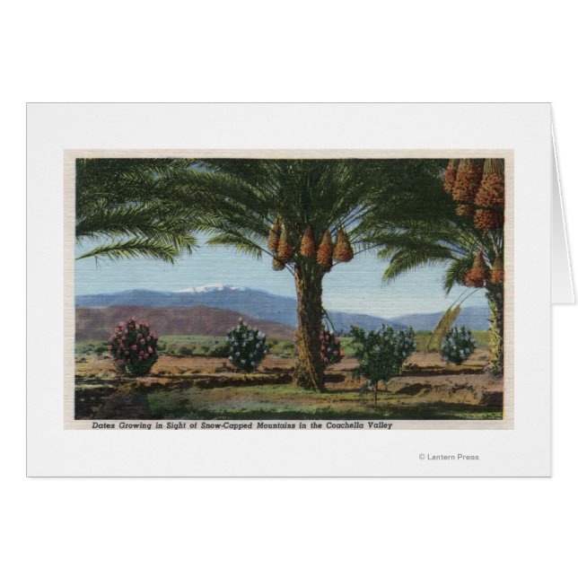 Las fechas de crecimiento en California en Coachel (Anverso (Horizontal))