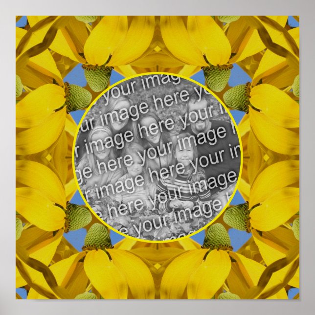 Las Flores De Echinacea El Arte De La Naturaleza C (Frente)