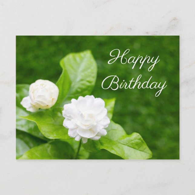 Las flores de jazmín están en la tarjeta de cumple (Anverso)