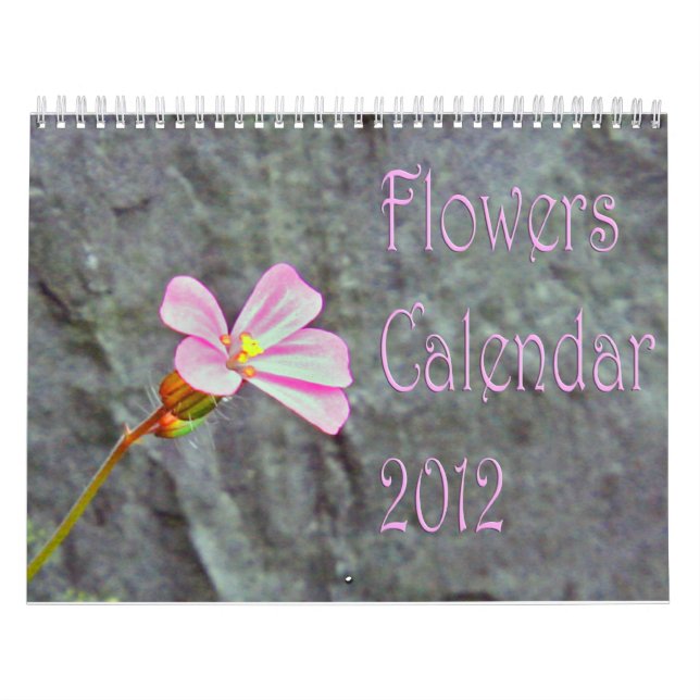 Las flores hacen calendarios 2013 (Tapa)