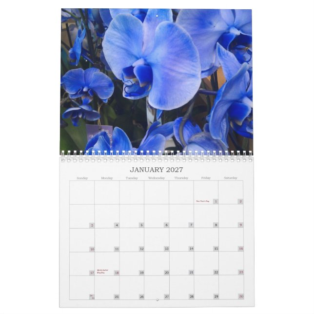 Las flores hacen calendarios para 2013 (Jan 2027)