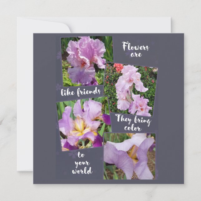 Las flores son como amigos (Anverso)