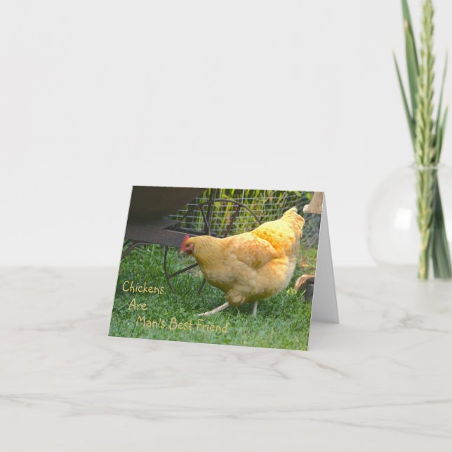 Las gallinas son la mejor tarjeta de notas de amis (Anverso)