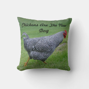 Las Gallinas Son La Nueva Almohada De Perro