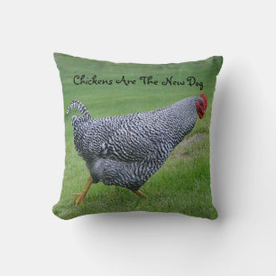 Las Gallinas Son La Nueva Almohada De Perro