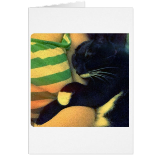 Las garabatos de Lucy (Frente)