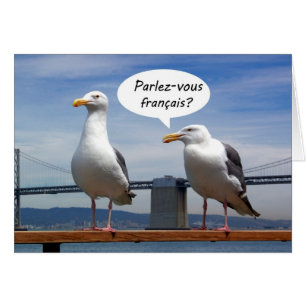 Las gaviotas hablan francés