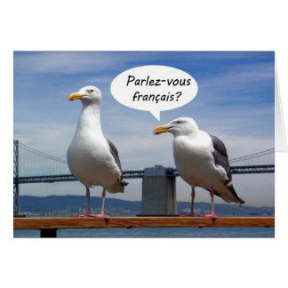 Las gaviotas hablan francés