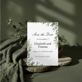 Las hojas de eucalipto botánico ahorran la tarjeta