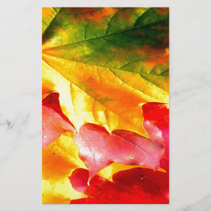 Las hojas de otoño lo personalizan amarillo, rojo,