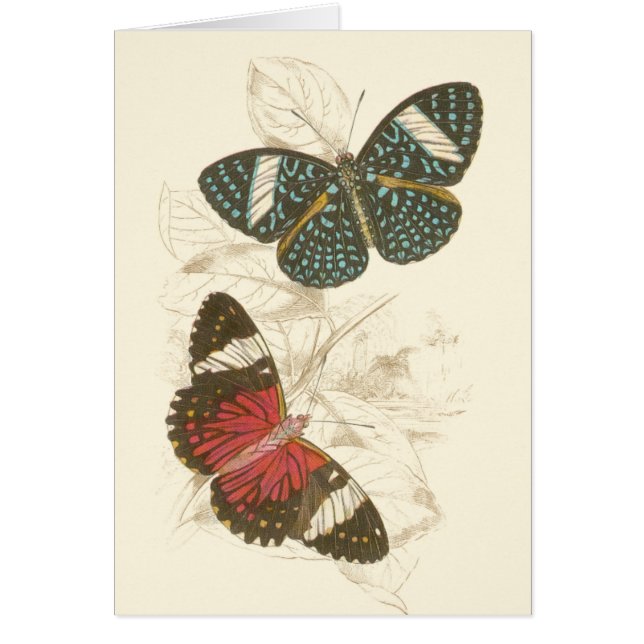 Las hojas de Sepia con mariposas coloridas (Frente)