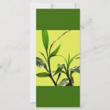 las hojas verdes de bambú afortunadas mantienen la