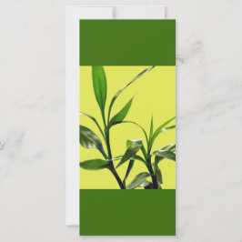 las hojas verdes de bambú afortunadas mantienen la