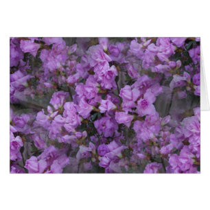 Las interminables Azaleas
