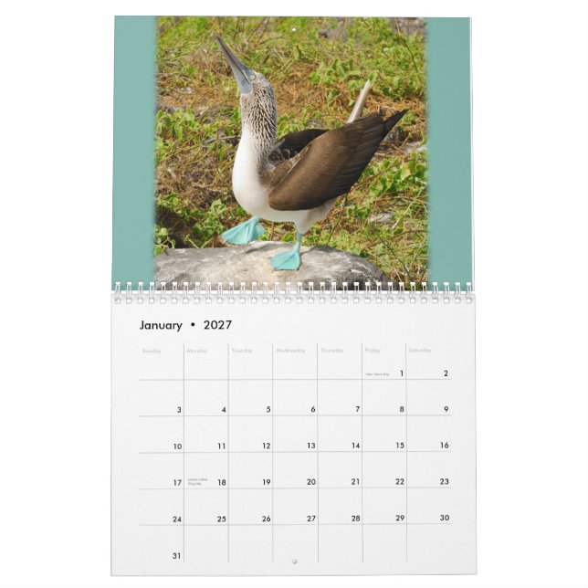 ¡Las Islas Galápagos! Calendario (Jan 2027)