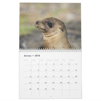 Las Islas Galápagos - calendario de pared de 12