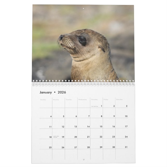 Las Islas Galápagos - calendario de pared de 12 (Jan 2026)