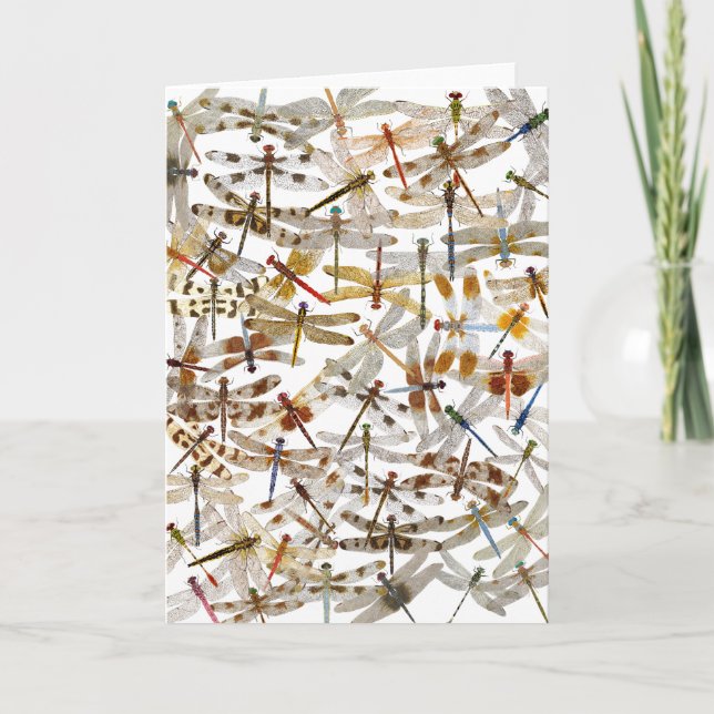 ¡Las libélulas Galore! Tarjeta mediana (Anverso)