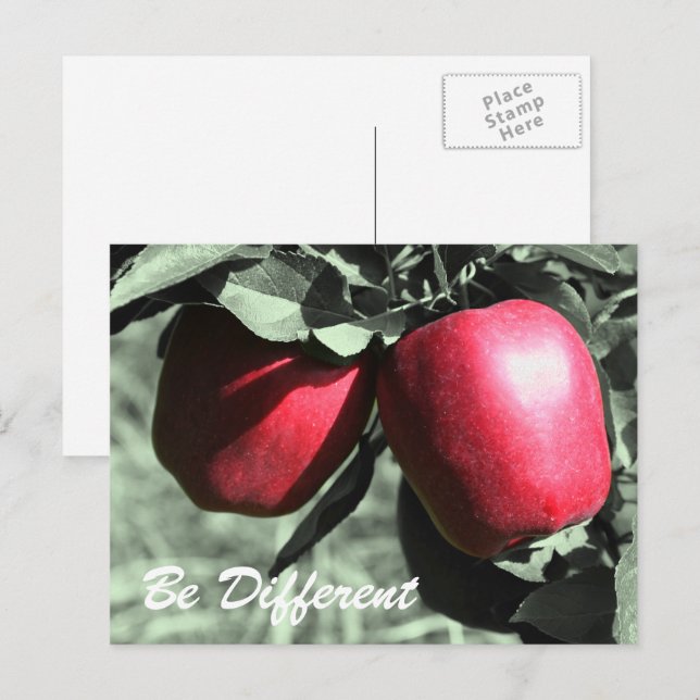 Las manzanas rojas son postales Inspiradoras difer (Anverso / Reverso)