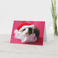 ¡Las maricas de la temporada! Tarjeta de Navidad