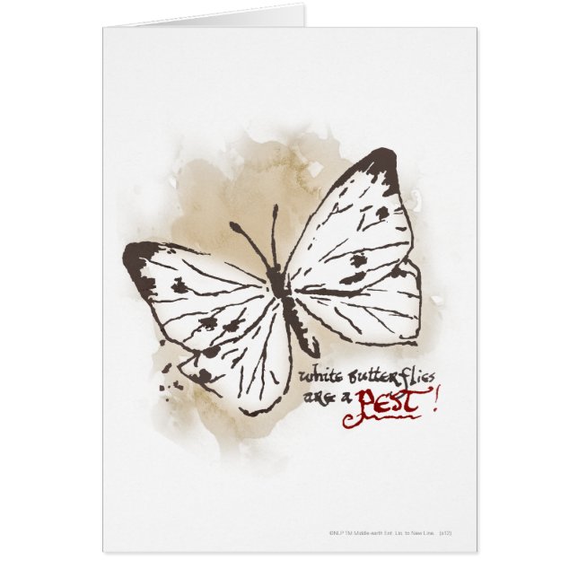 Las mariposas blancas son una plaga (Frente)