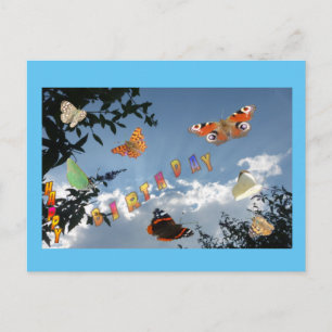 Las Mariposas Neerlandesas Se Encogen. Postal de c