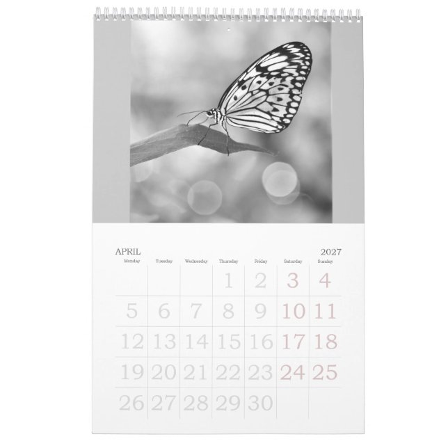 Las mariposas siguen libres - un calendario 2024 (Apr 2027)