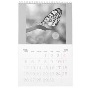 Las mariposas siguen libres - un calendario 2024