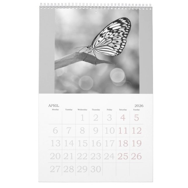 Las mariposas siguen libres - un calendario 2024 (Apr 2026)