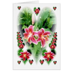 Las mentiras del corazón