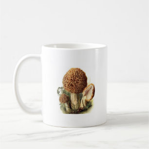 Las morillas son taza de café fungosa