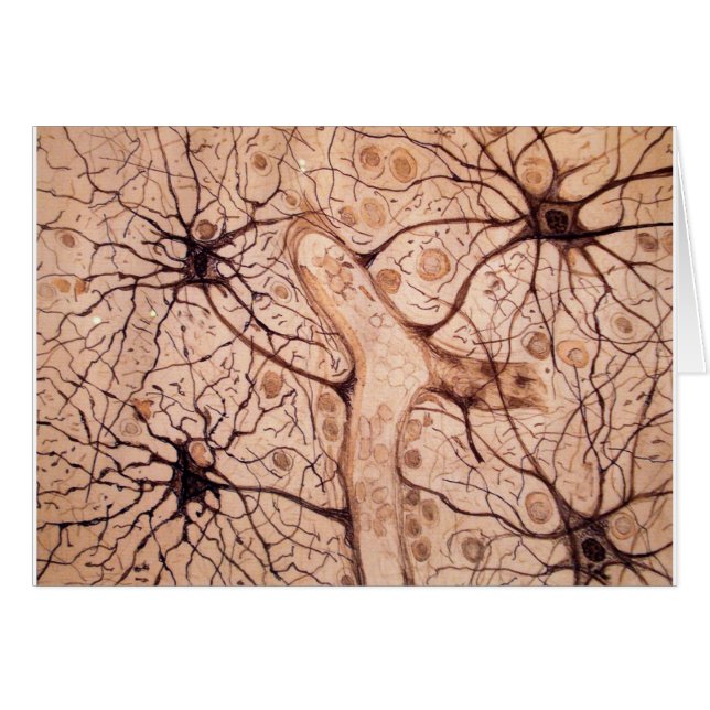 Las neuronas 3 de Cajal (Anverso (Horizontal))