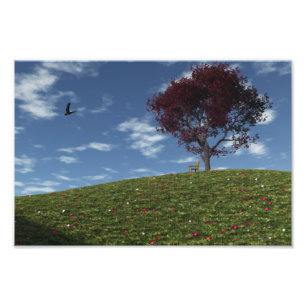 Las Nubes Navegan Por La Impresión Fotográfica