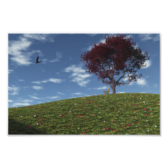 Las Nubes Navegan Por La Impresión Fotográfica (Frente)