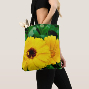 Las Oficinas De Calendula Están Por Toda La Bolsa 