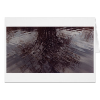 Las ondas se intersectan en un estanque