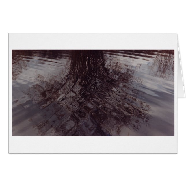 Las ondas se intersectan en un estanque (Anverso (Horizontal))