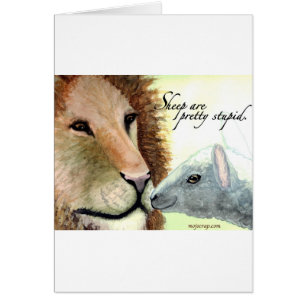 Las ovejas son bonito estúpido