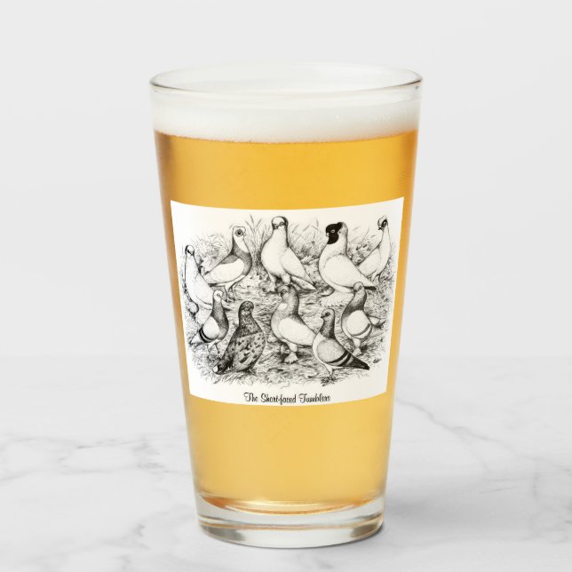 Las palomas de Tumbler de cara corta (Anverso (lleno))