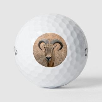 Las Pelotas de Golf de Cabra - Agrega Tu Foto