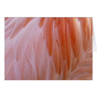 Las plumas flamencas en tonos rosas