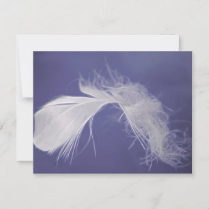 Las plumas son símbolos de la espiritualidad
