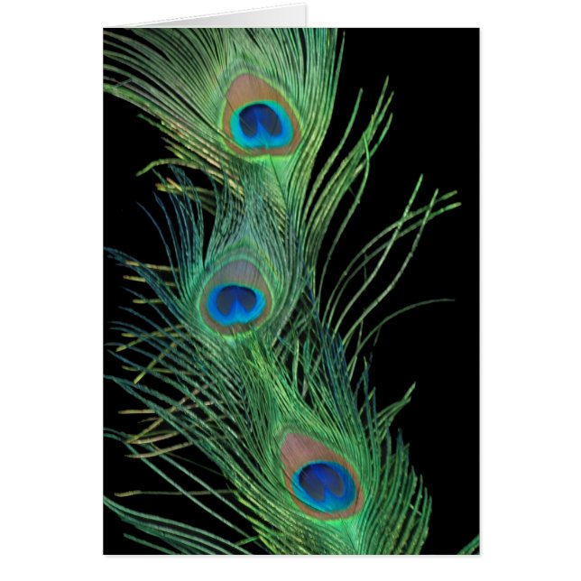 Las plumas verdes con negro (Frente)