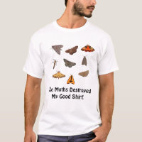 Las "polillas destruyeron camiseta básica de mi