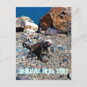 Las postales de Iguana Hug You