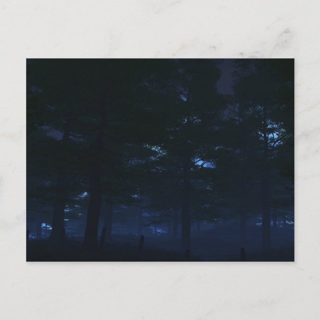 Las postales secretas de la naturaleza (Anverso)