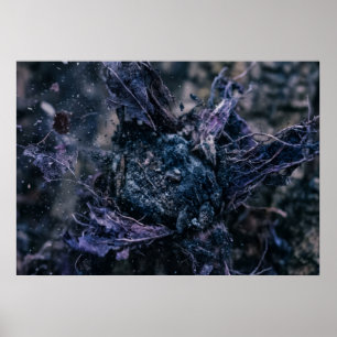 Las Raíces Nocturnas del Arte de Pared del Bosque
