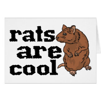 Las ratas son frescas
